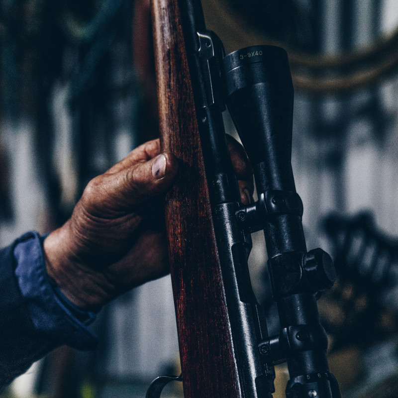 Our Top Picks for Air Rifle Hunter Field Target Shooting