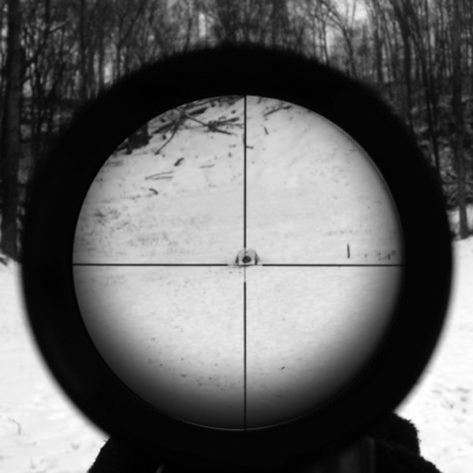Why is There a Shadow in My Field of View?